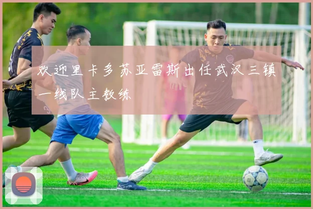 欢迎里卡多苏亚雷斯出任武汉三镇一线队主教练